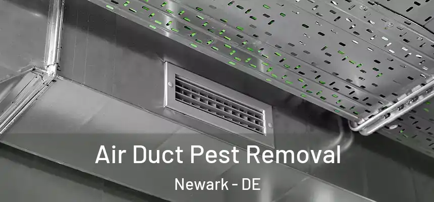  Air Duct Pest Removal Newark - DE