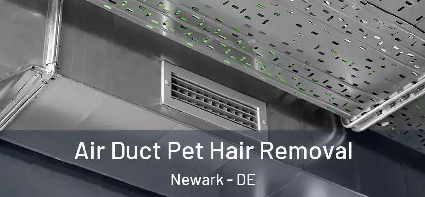  Air Duct Pet Hair Removal Newark - DE