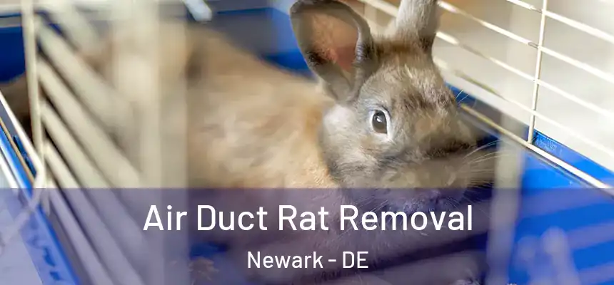 Air Duct Rat Removal Newark - DE