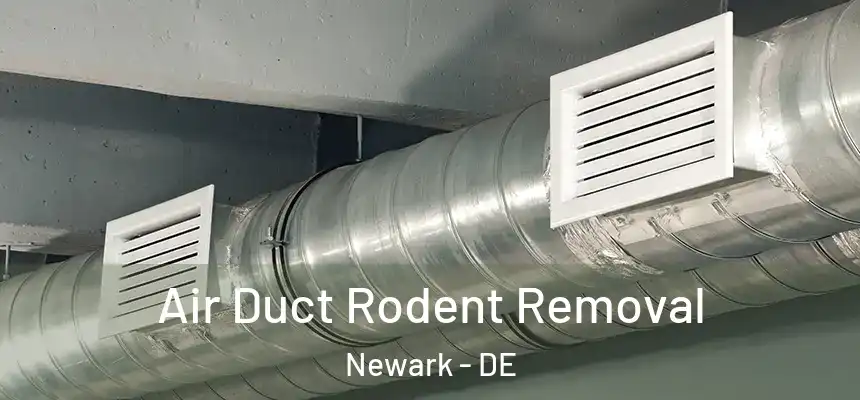  Air Duct Rodent Removal Newark - DE