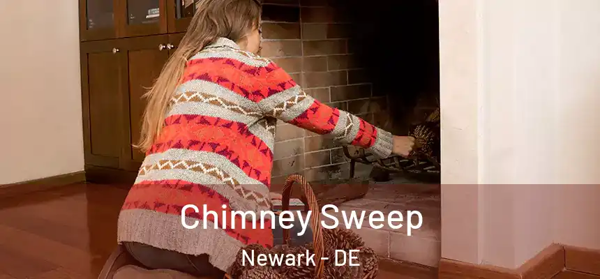  Chimney Sweep Newark - DE