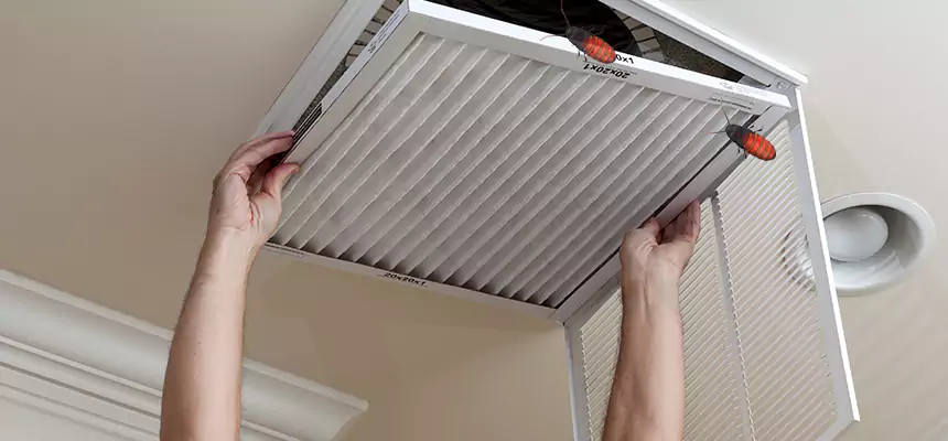 Our Insect Removal from Air Ducts Services in Newark, DE