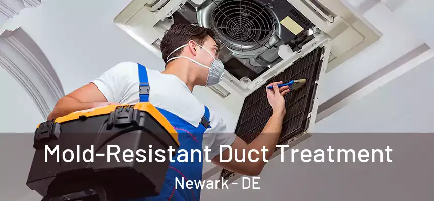 Mold-Resistant Duct Treatment Newark - DE