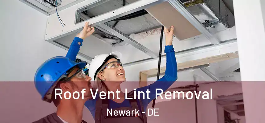  Roof Vent Lint Removal Newark - DE