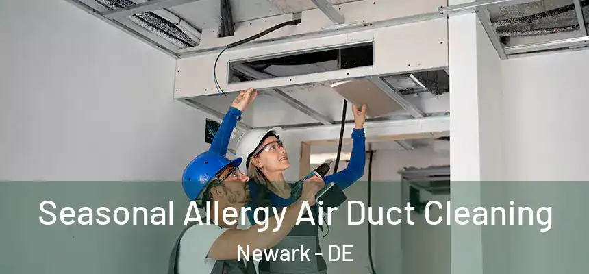 Seasonal Allergy Air Duct Cleaning Newark - DE