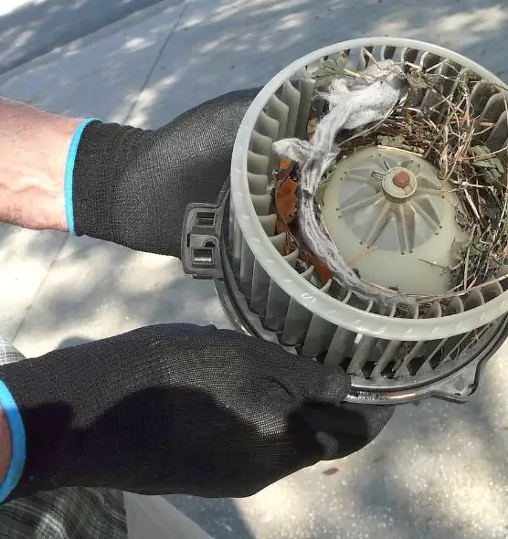 About Air Duct Mice Removal in Newark, DE