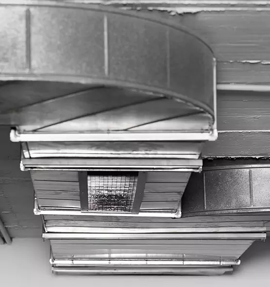 Professional Air Duct Pest Removal in Newark, DE