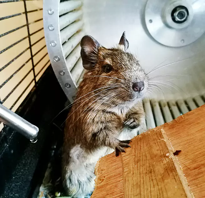 Why Homeowners & Businesses Trust Us Newark, DE