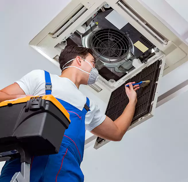 Why Homeowners & Businesses Trust Us in Newark, DE