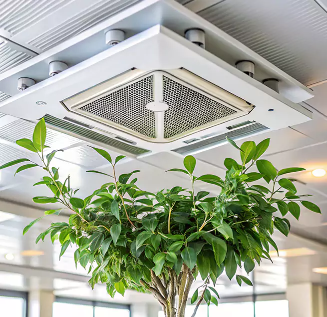 Why Homeowners & Businesses Trust Us in Newark, DE?